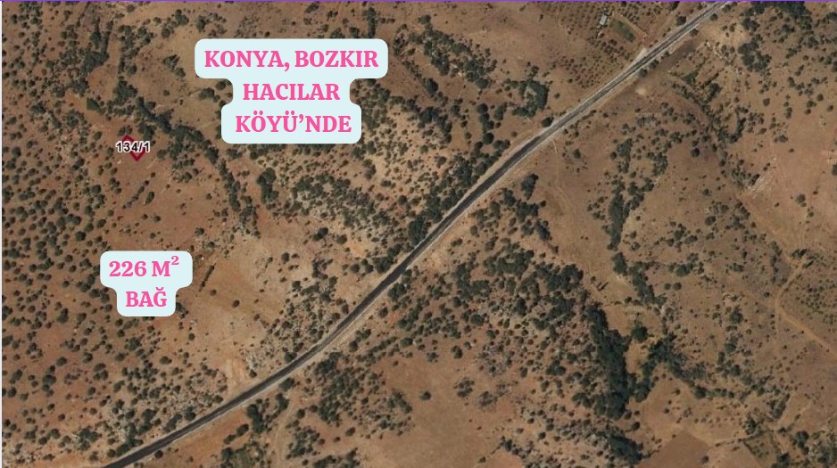 KONYA BOZKIR HACILAR KÖYÜNDE 226 M² BAĞ SATILIKTIR. - KONYA BOZKIR fotoğraf 17